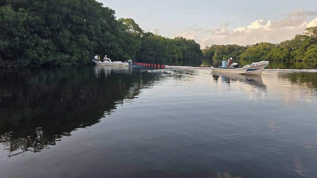 WhatsApp Image 2026-03-21 at 19.48.42