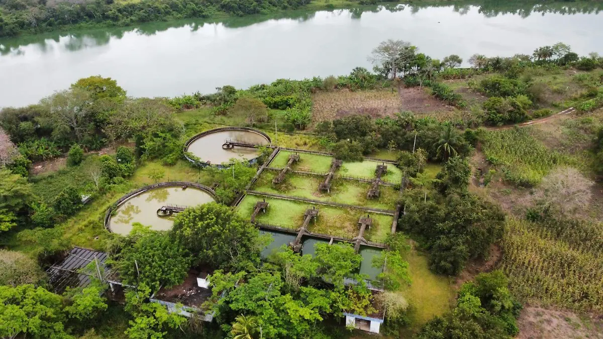 Planta de tratamiento de aguas residuales Las Gaviotas capu