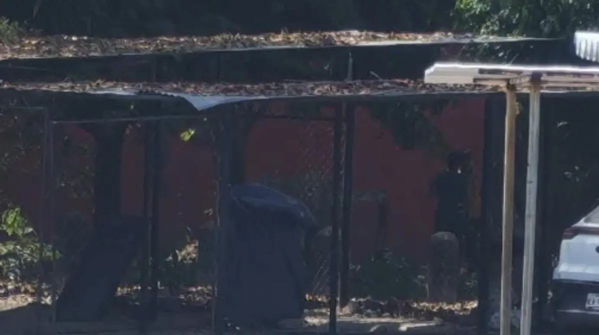 Captura de pantalla 2026-03-25 a la(s) 16.59.21