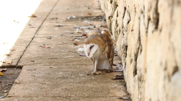 df908941-55e4-4e98-b5d6-585e6f18b4ba