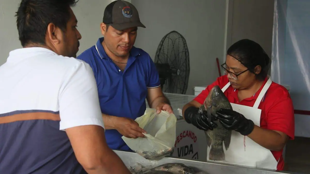 venta de pescados y mariscos