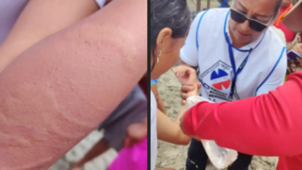 Captura de pantalla 2026-03-29 172507