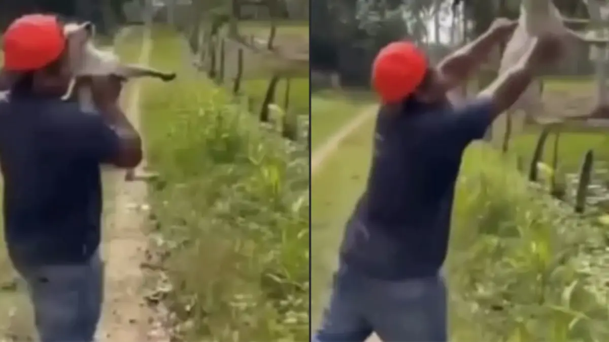 Captura de pantalla 2026-04-01 a la(s) 18.51.04