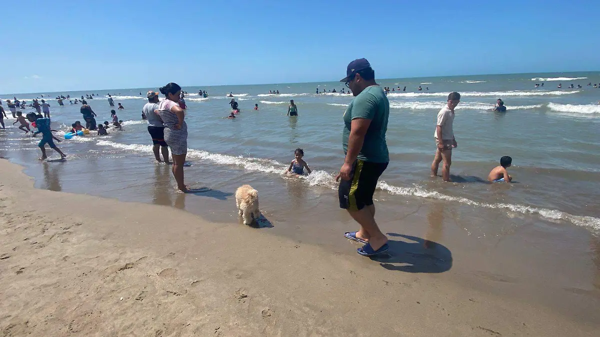 WhatsApp Image 2026-04-04 at 16.50.30 (1)