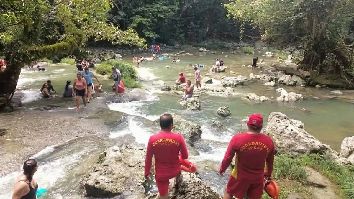 WhatsApp Image 2026-04-06 at 08.46.07