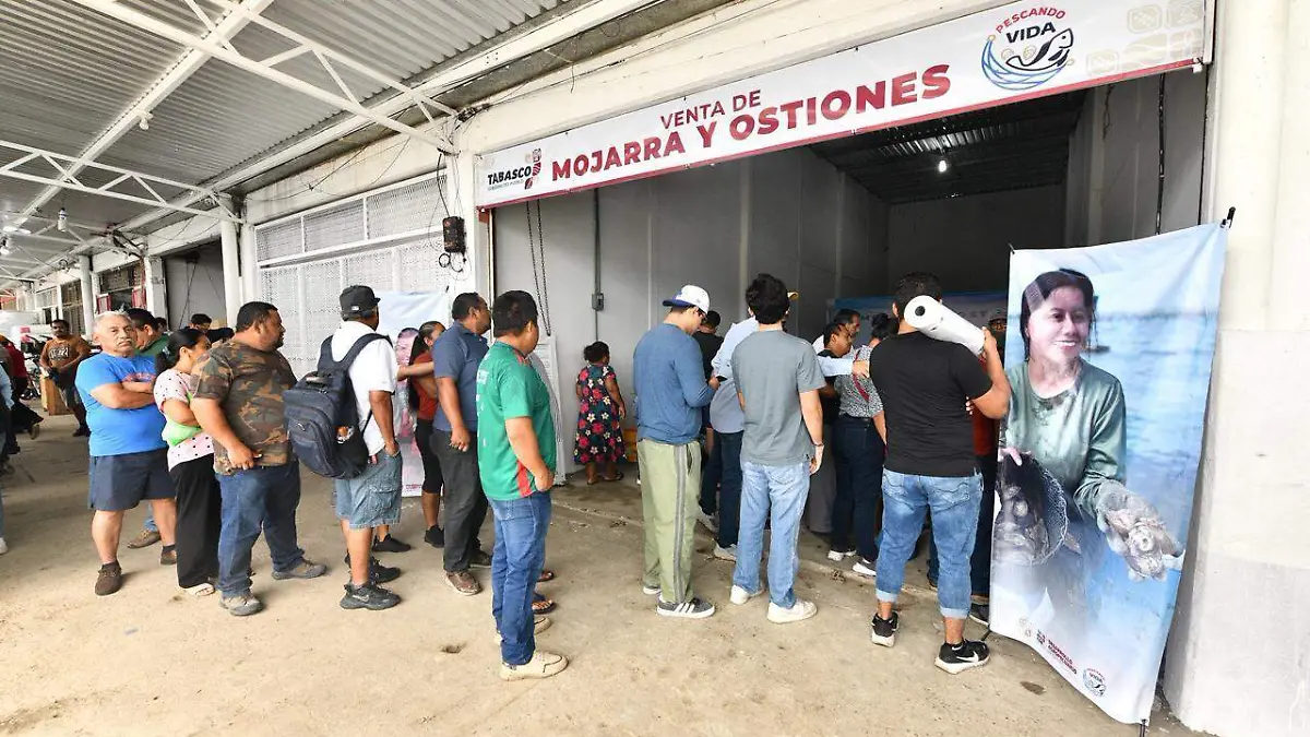 javier may rodriguez 2