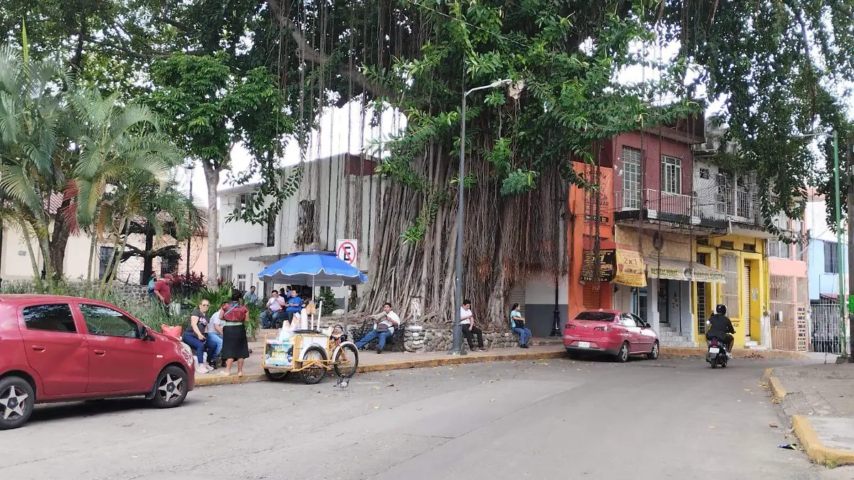 Calle Zaragoza y Parque de los Pajaritos