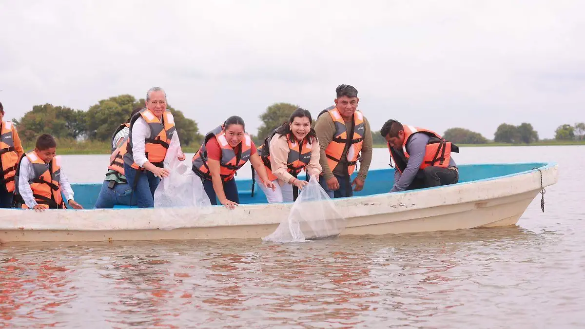 Yolanda Osuna siembra crías de tilapia