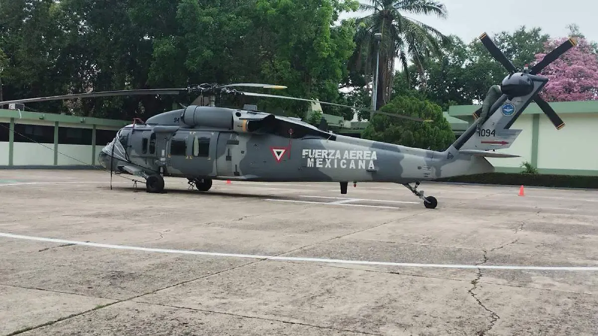 WhatsApp Image 2026-04-09 at 09.29.04 (1)