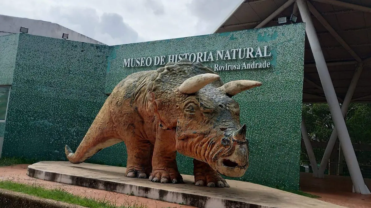 Museo de Historia Natural