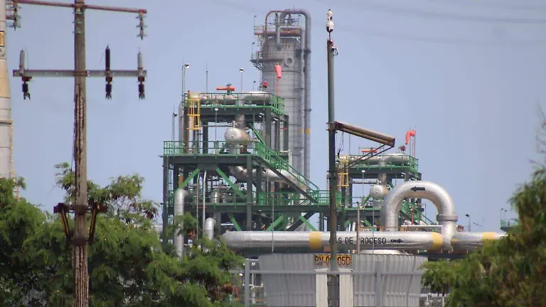 WhatsApp Image 2026-04-10 at 13.28.07