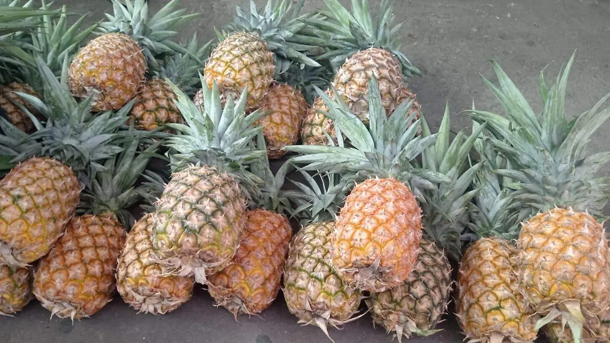 af7789bc-4f08-4f81-85a5-9755690cdf69