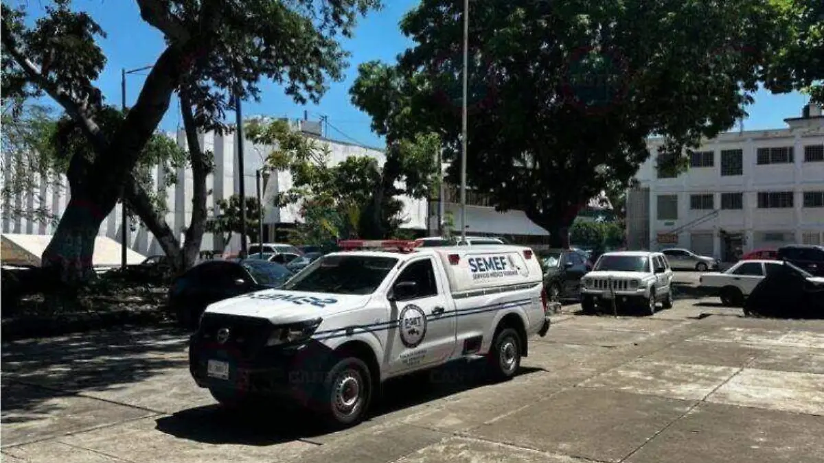 1bca92af-9c0c-479e-9102-5835341f83bf