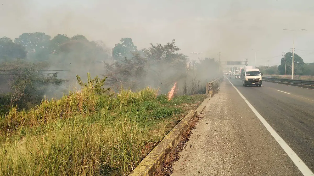 152b2b58-281b-4af4-906a-427486982de8