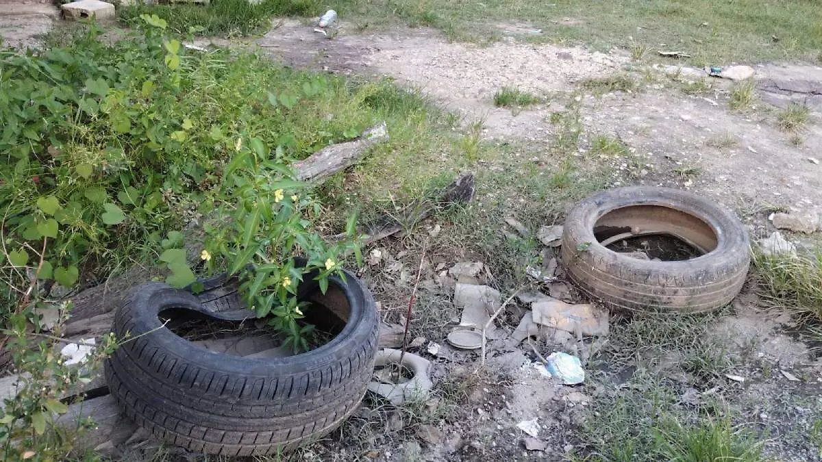 Llantas-Viejas-Y-Basura