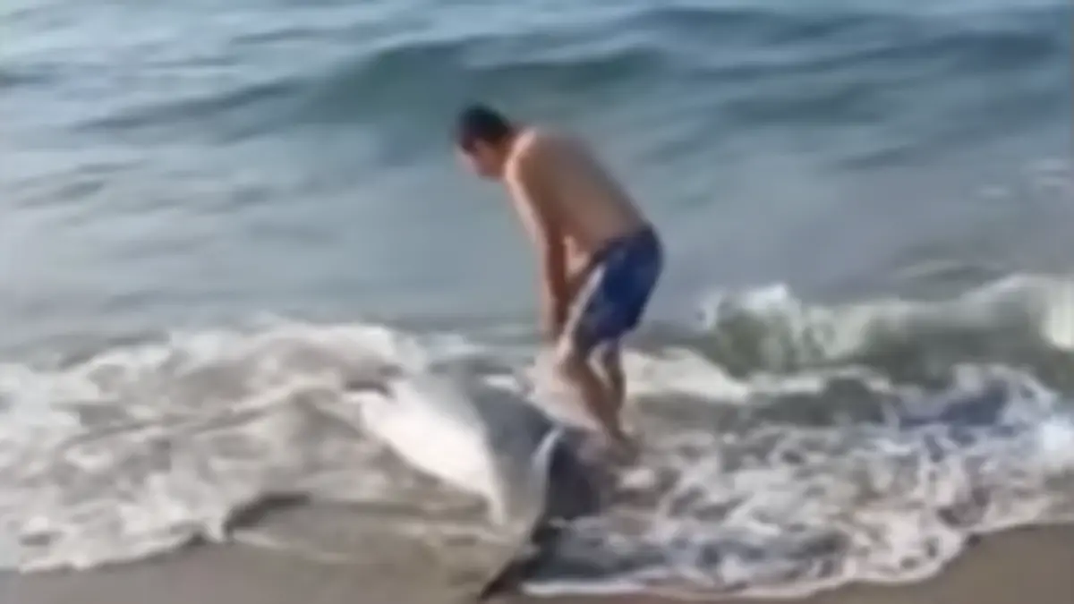 Captura de pantalla 2026-04-27 a la(s) 21.19.51