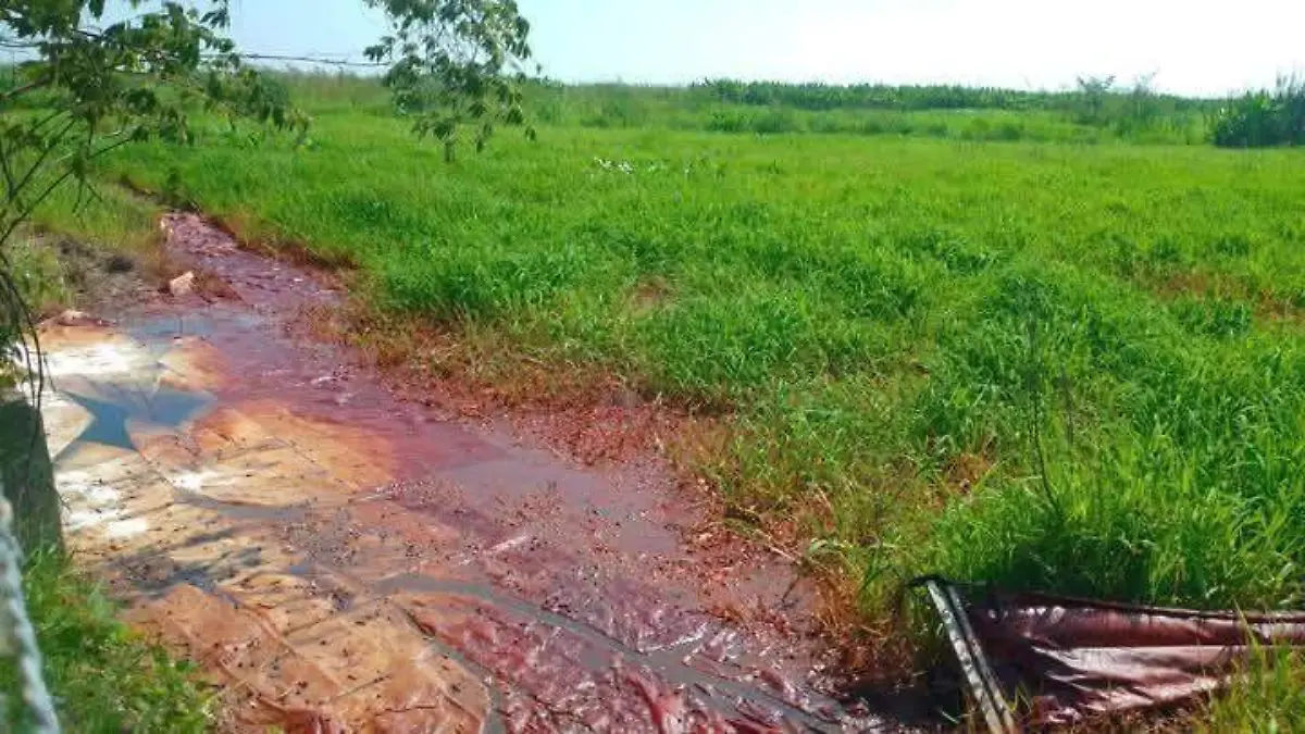 contaminacion 1