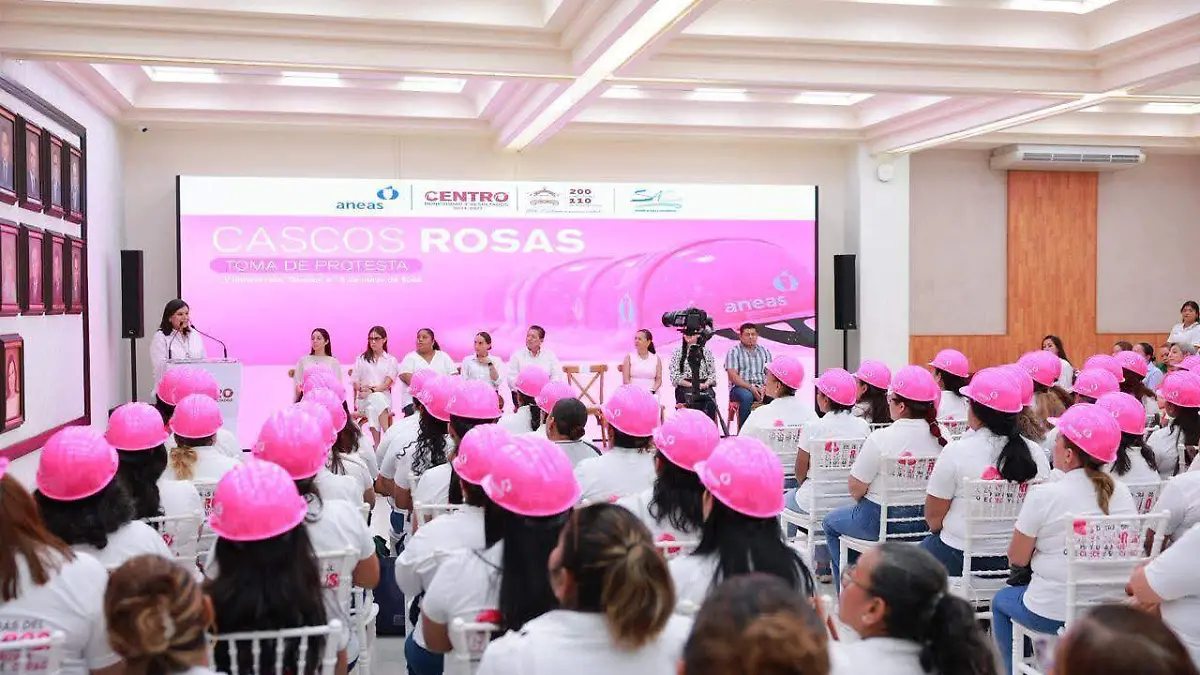 cascos rosas df