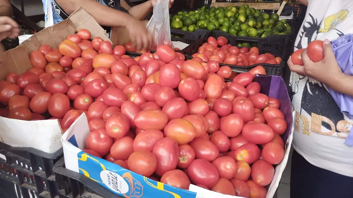 Tomate baja de precio