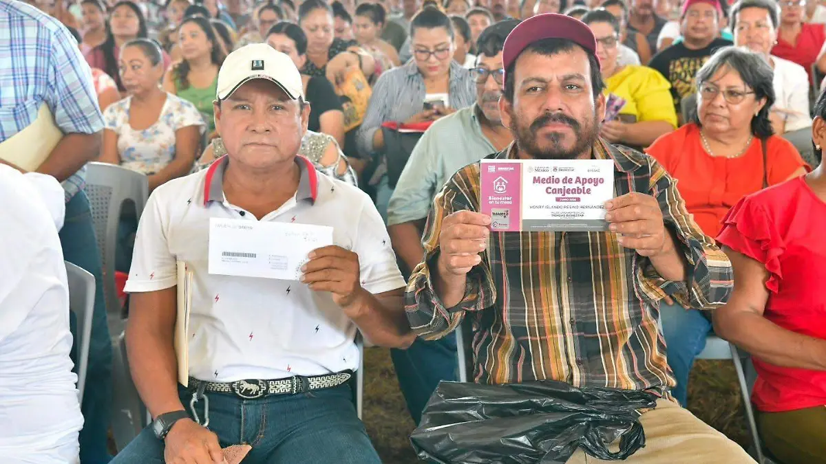 pension bienestar