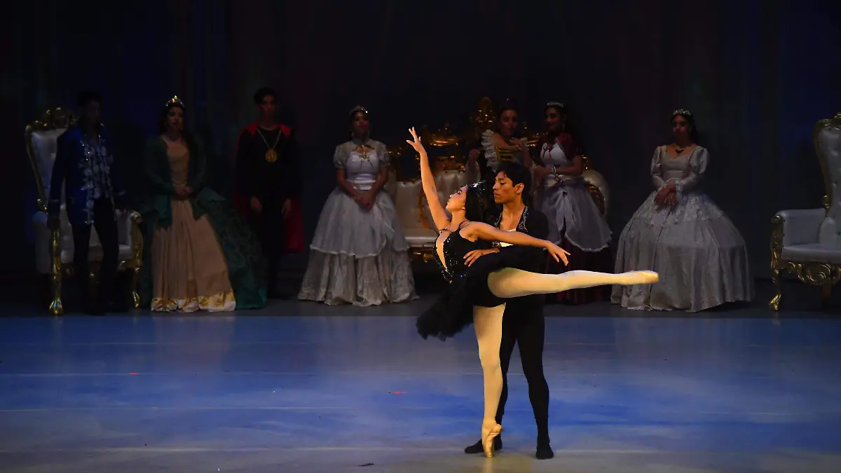 Cisne negro2
