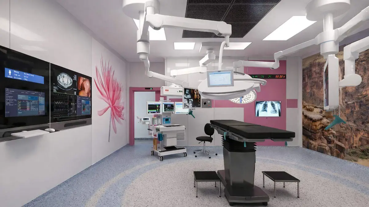 Hospital Zumaya (4)