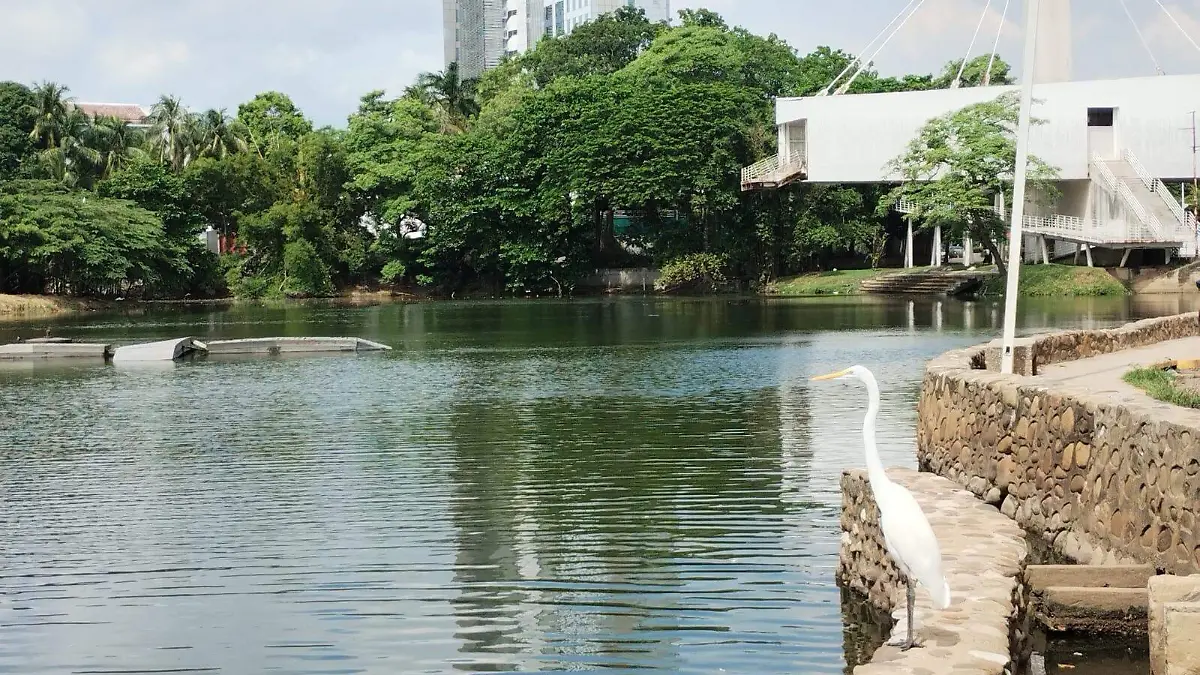 LAGUNA DE LAS ILUSIONES Y GARZAS