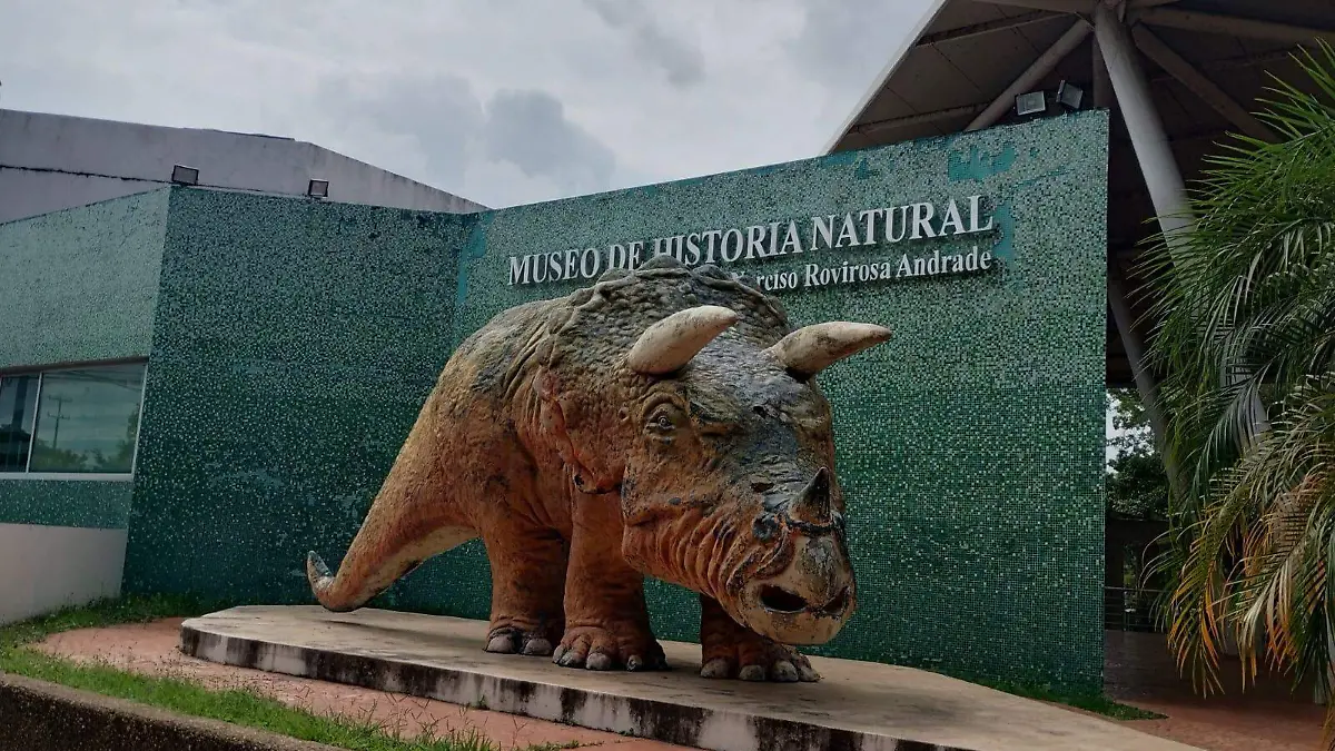 MUSEO DE HISTORIA