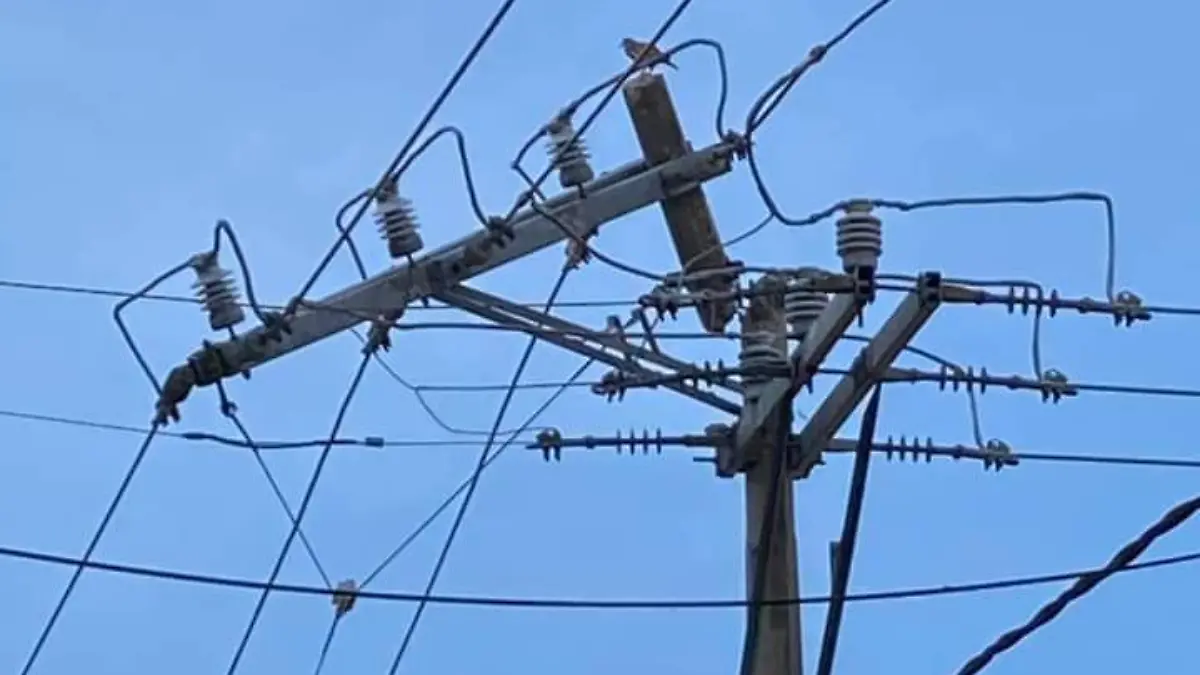 CAIDA DE ARBOL SOBRE LINEA CORRIENTE Y CFE NO LLEGA-JCH (4)