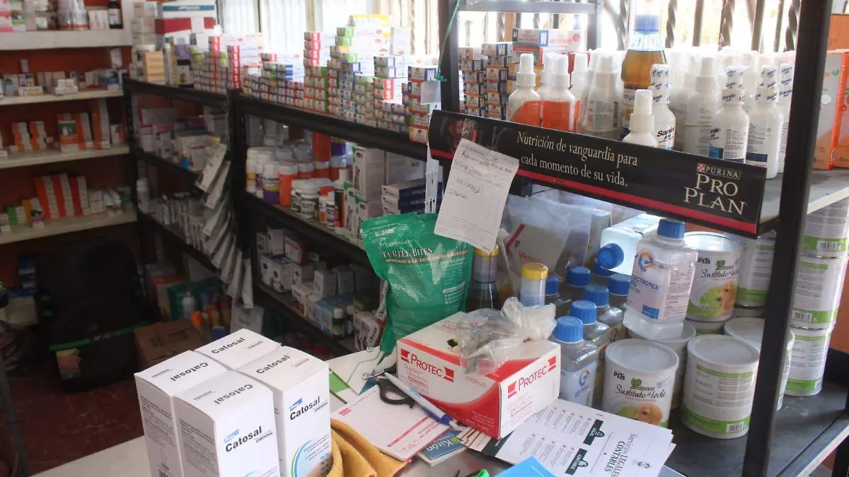 medicamento veterinario