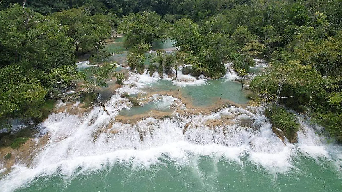 Reserva Cascada de Reforma