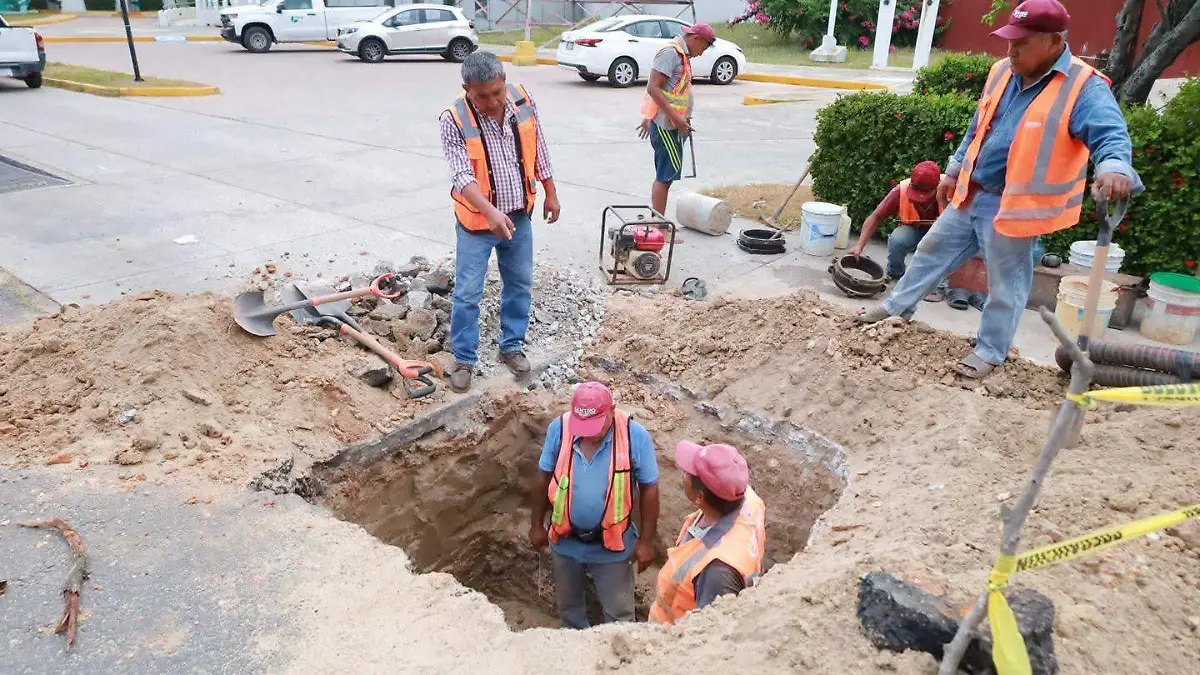 Yolanda Osuna nota fbg