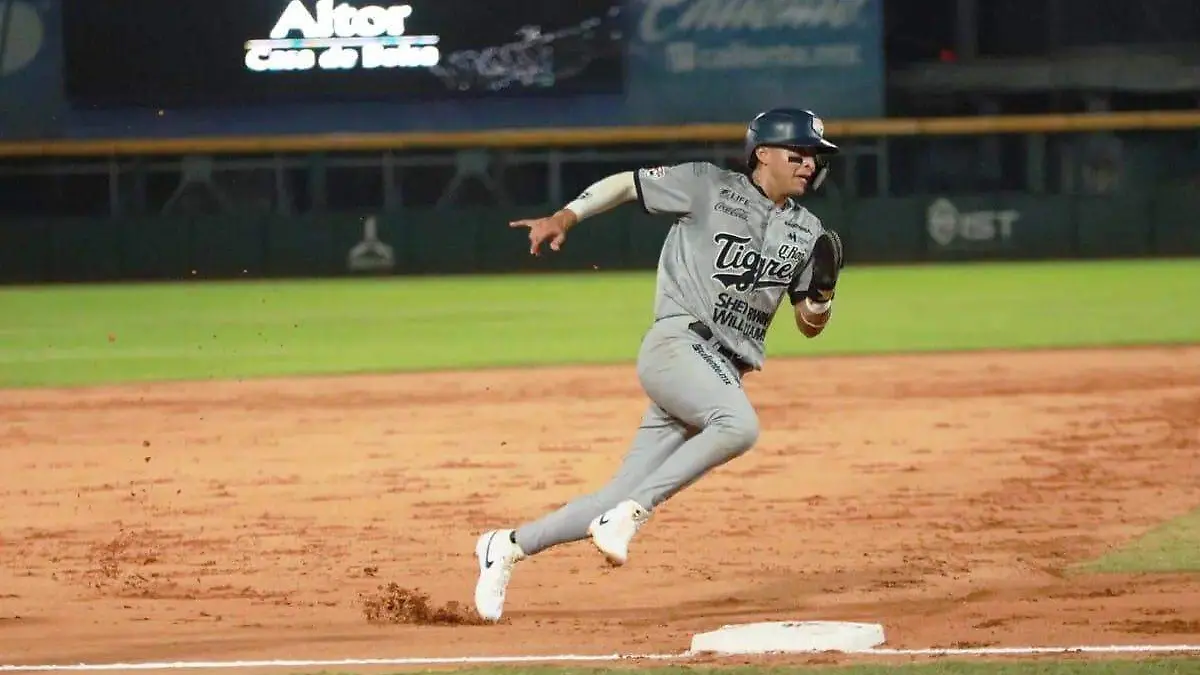 beisbol en el cnetenario tigres vs olmecas-cortesia olmecas de tabasco (3)