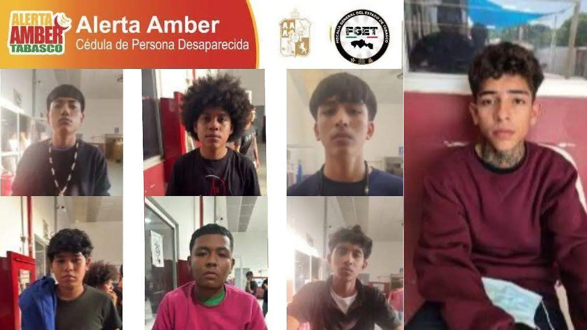 alerta amber cover