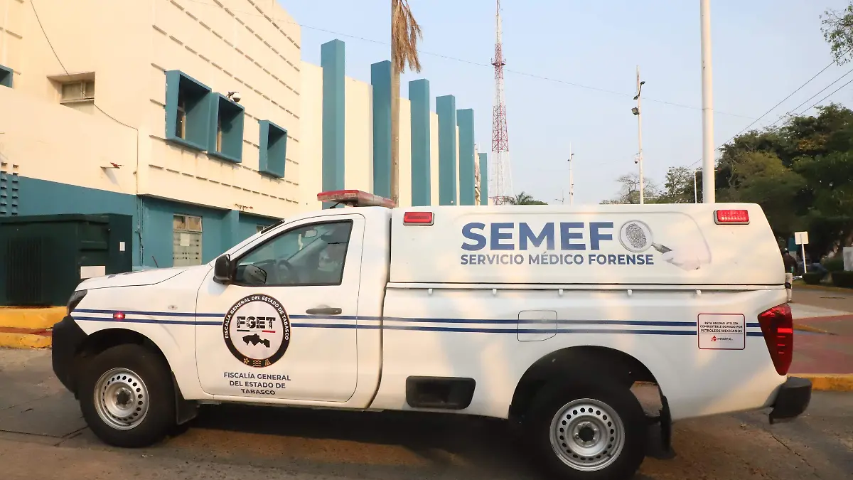 semefo 1