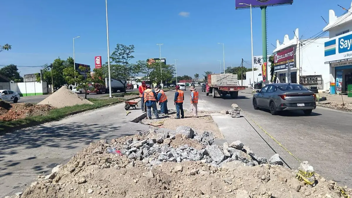 baches 1