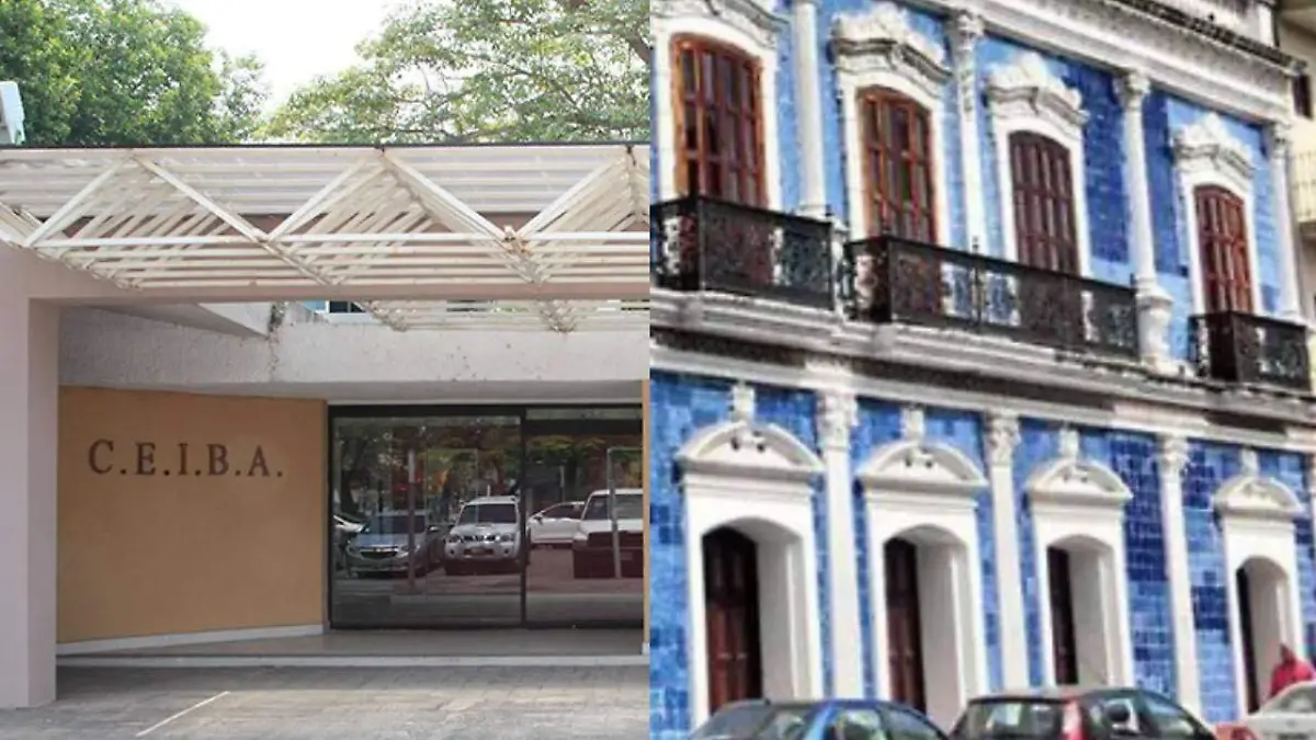 Proyecto nuevo (4)