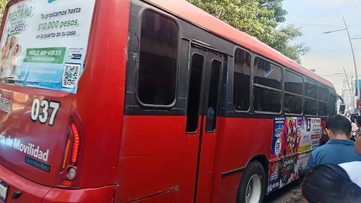 Transporte