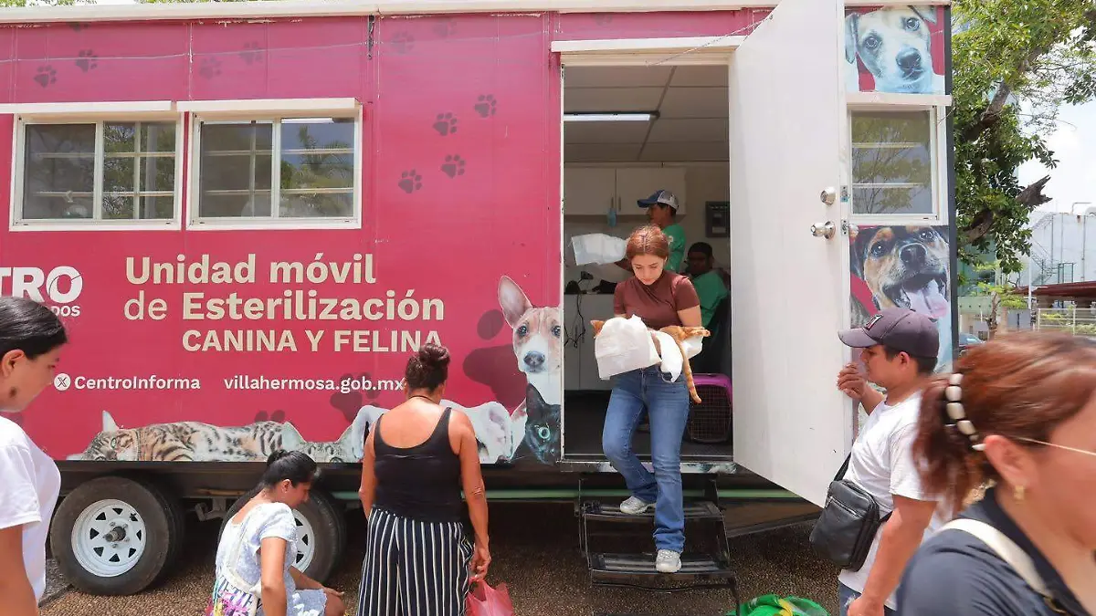 modulo esterilización