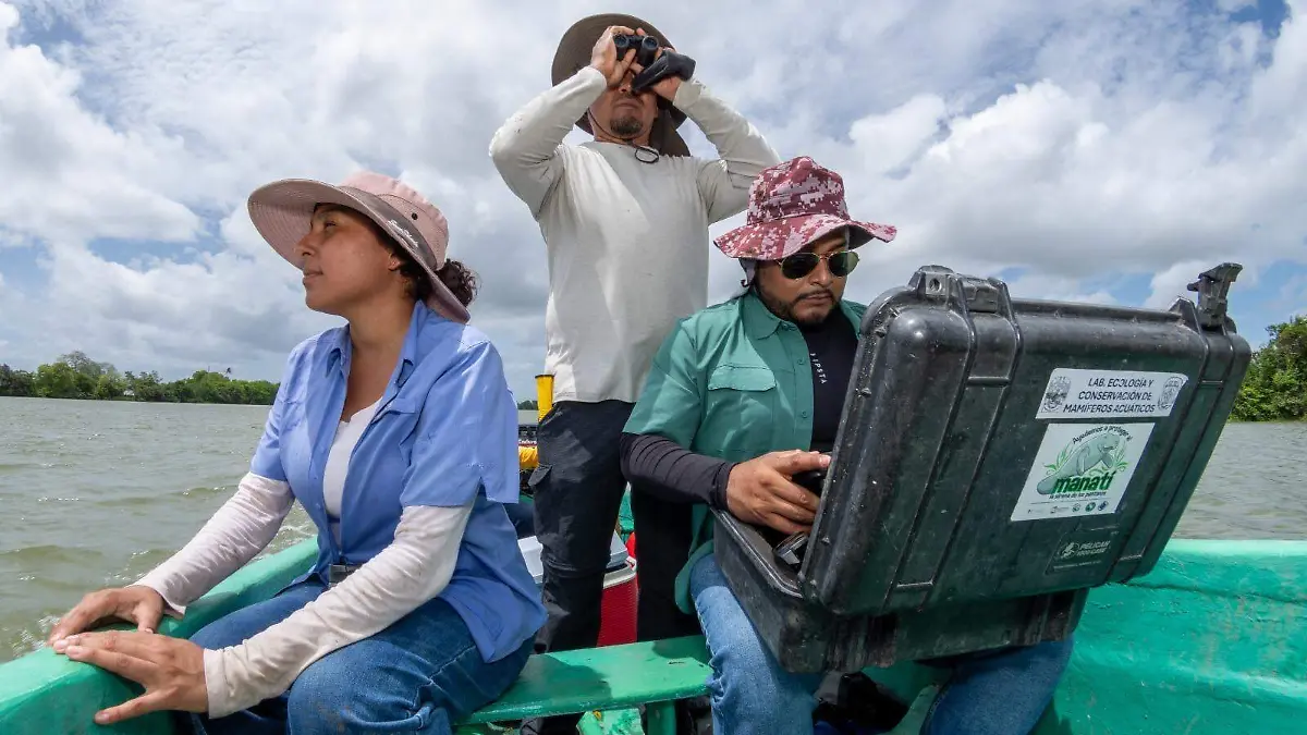 UJAT DOCUMENTAL NEBULA