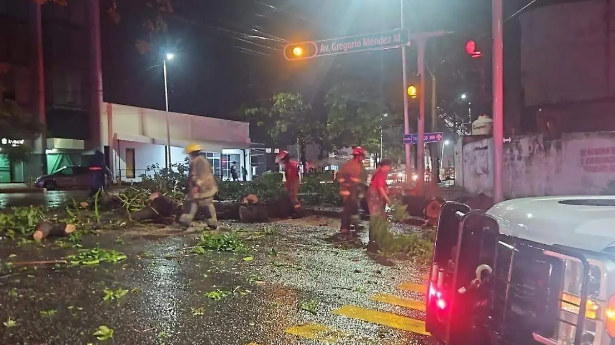 Arbol caido lluvias