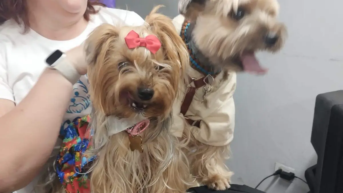 tercera edición del Pet Fest-jose perez (2)