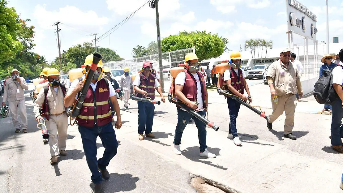 brigadas dengue