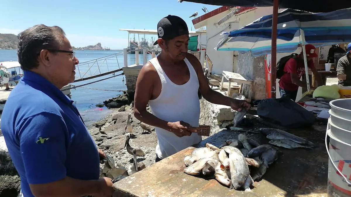 Malos Olores Mazatlán