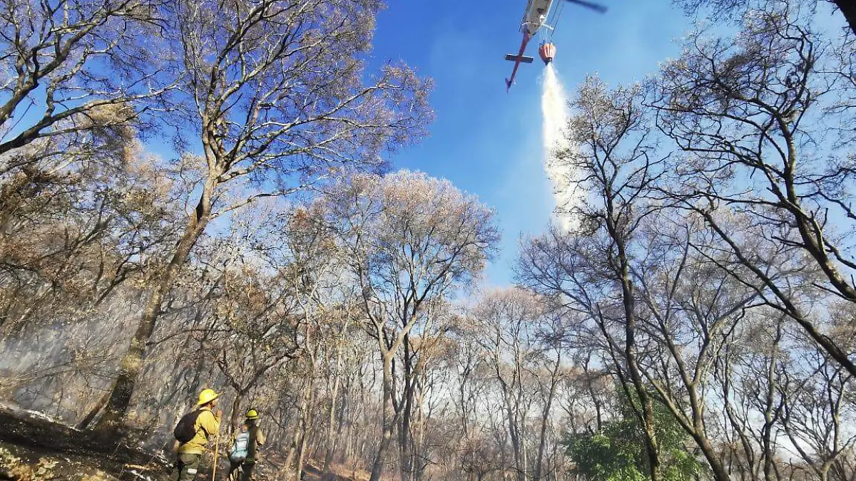 WhatsApp Image 2020-04-29 at 11.10.43