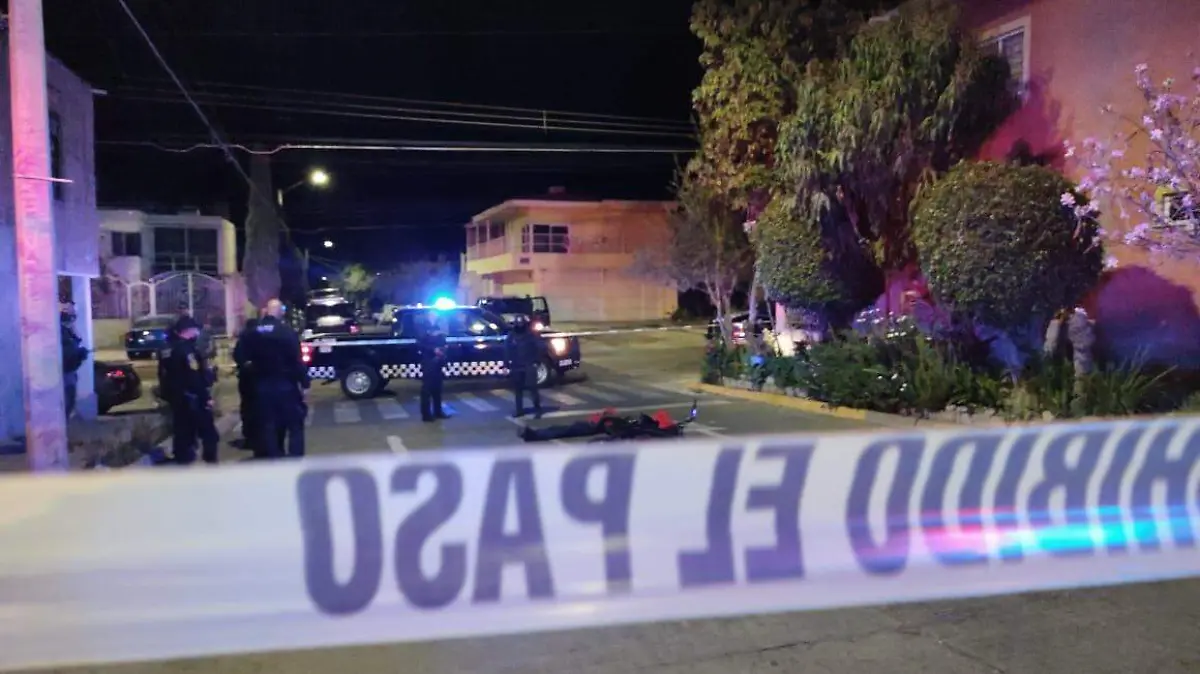 WhatsApp Image 2021-02-10 at 06.50.21