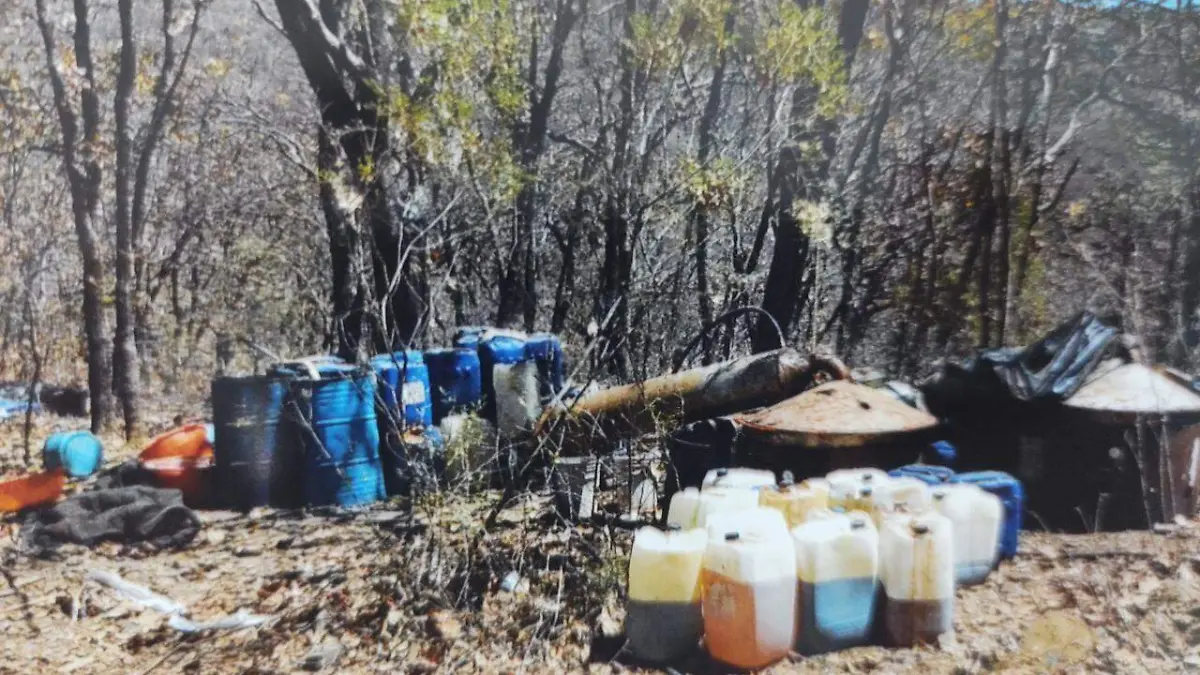 WhatsApp Image 2021-04-07 at 11.17.50