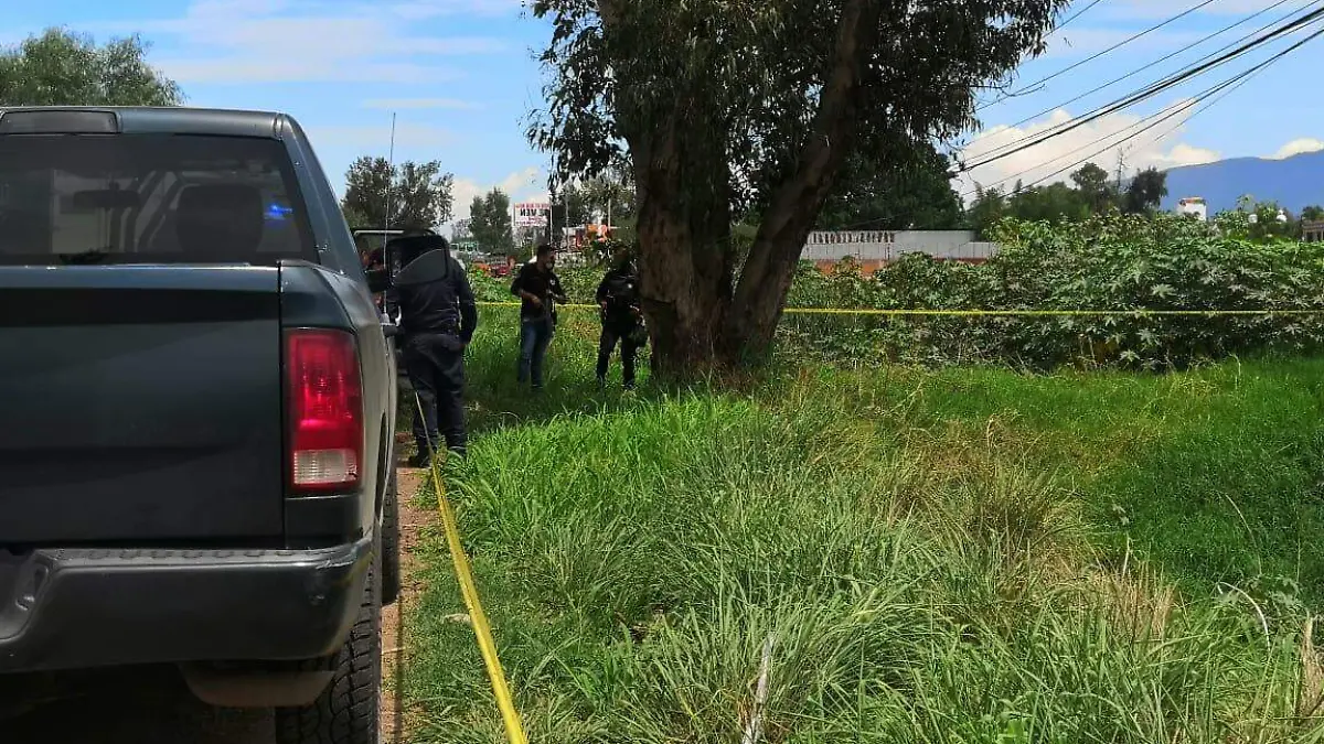 WhatsApp Image 2020-08-05 at 11.43.48