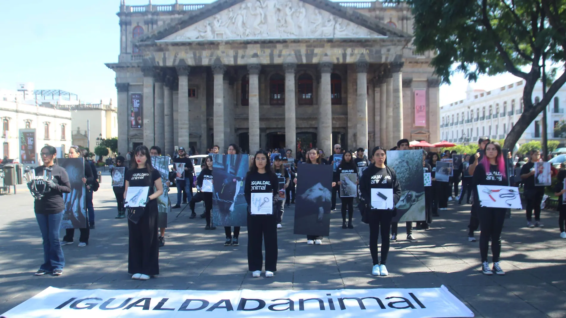 Manifestación