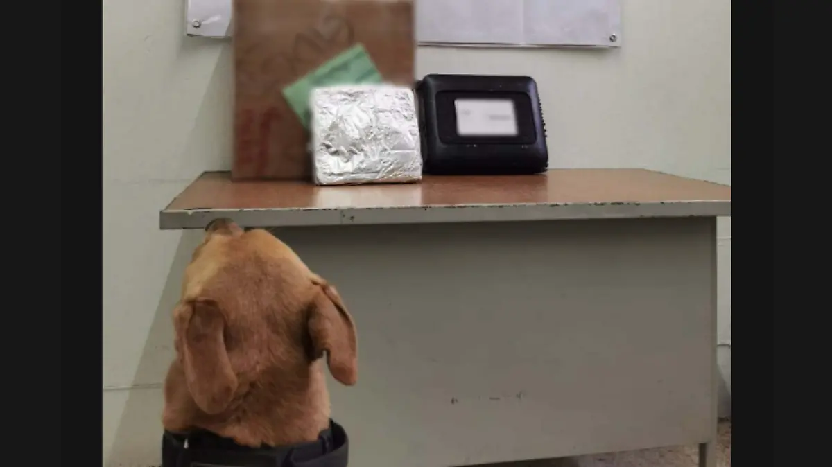 Screenshot_20201008-163138